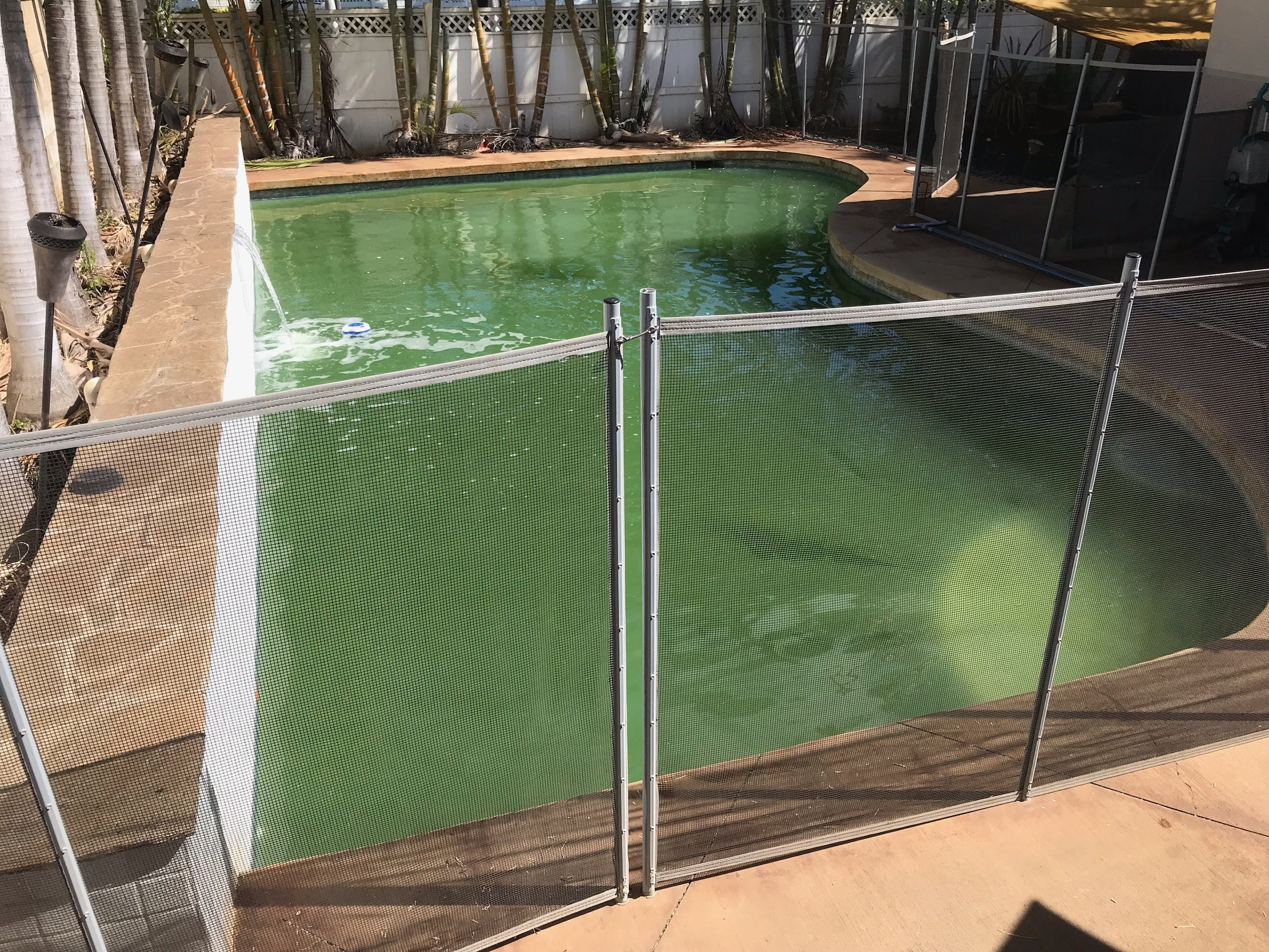 Pool work by Hawaii Pool Cleaners